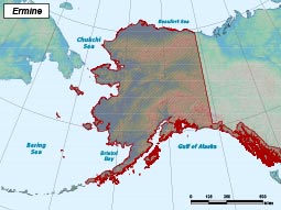 Ermine range map