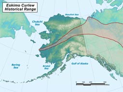 Eskimo Curlew range map