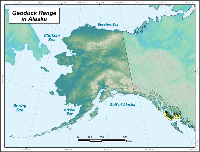 Range map of Geoduck Clam in Alaska