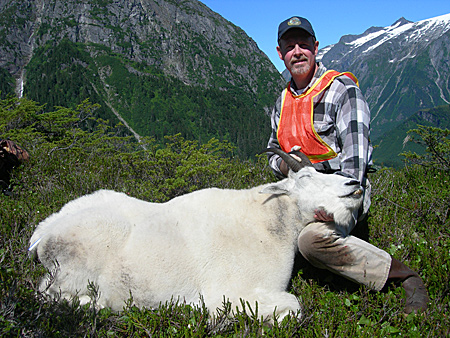 Photo of a Mountain Goat