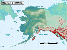 Mountain Goat range map