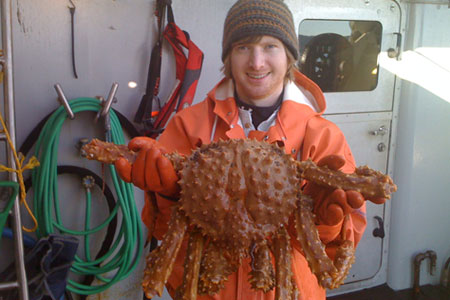 Photo of a Golden King Crab