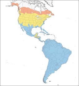 Greater Yellowlegs range map