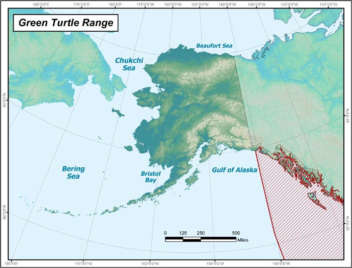 Range map of Green Sea Turtle in Alaska