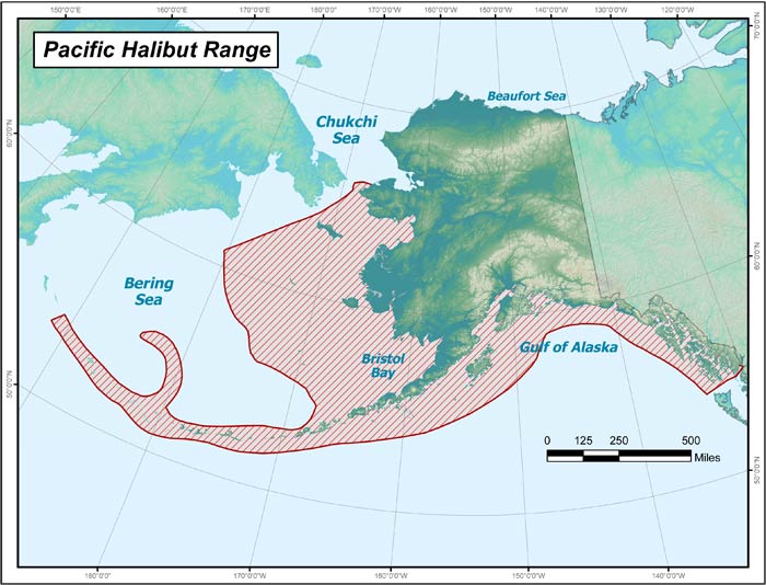 Range map of Pacific Halibut in Alaska