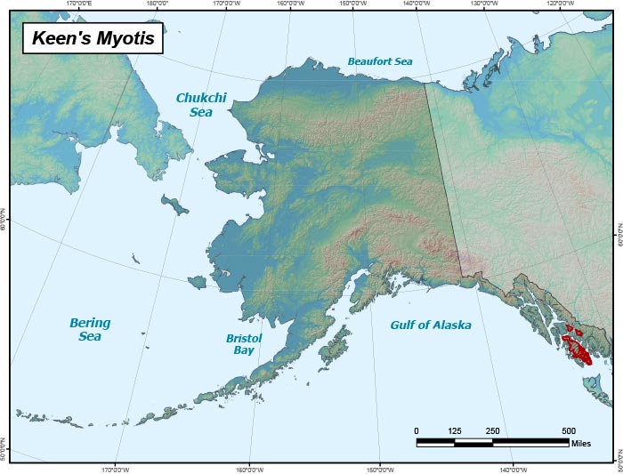 Range map of Keen's Myotis in Alaska
