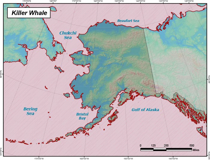 Range map of Killer Whale in Alaska