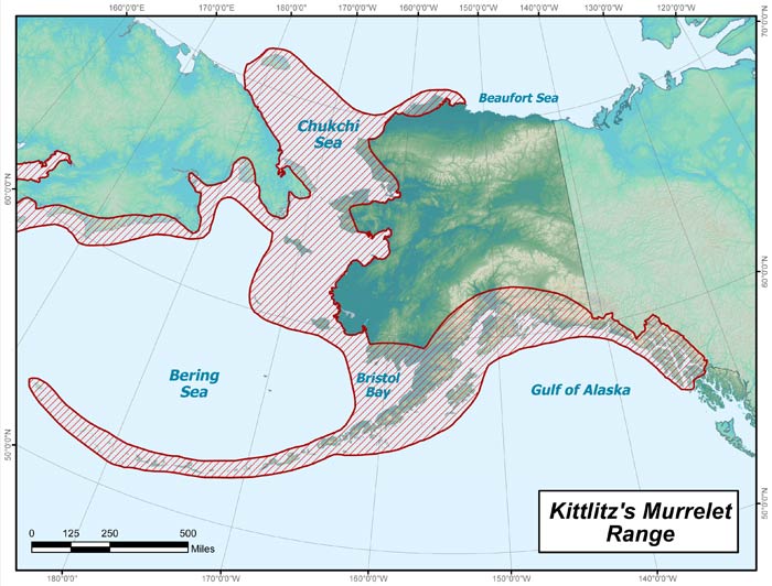 Range map of Kittlitz's Murrelet in Alaska