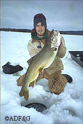 Photo of a Lake Trout