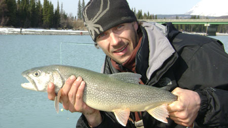 Photo of a Lake Trout