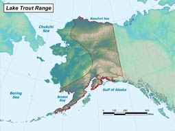 Lake Trout range map