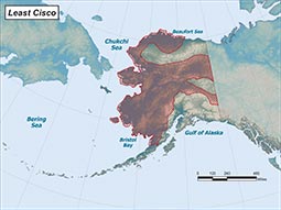 Least Cisco range map