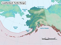 Leatherback Sea Turtle range map