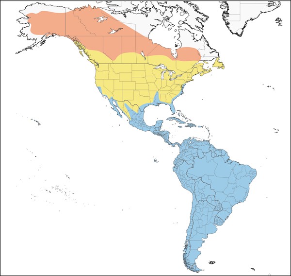 Range map of Lesser Yellowlegs in Alaska