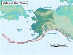 Littleneck Clam range map