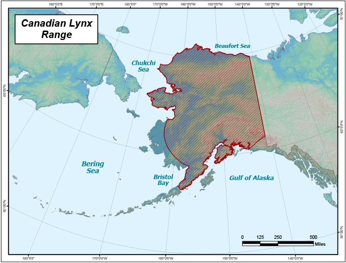 Range map of Lynx in Alaska