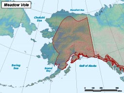 Meadow Vole range map