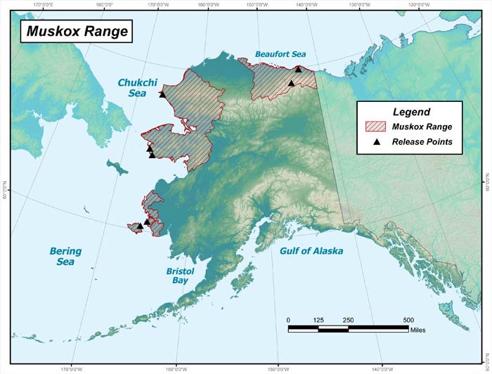 Range map of Muskox in Alaska