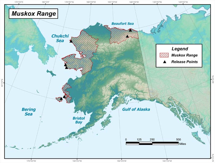 muskox range map