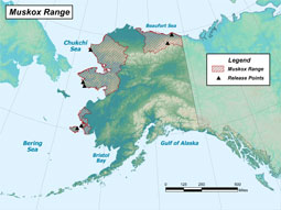 Muskox range map