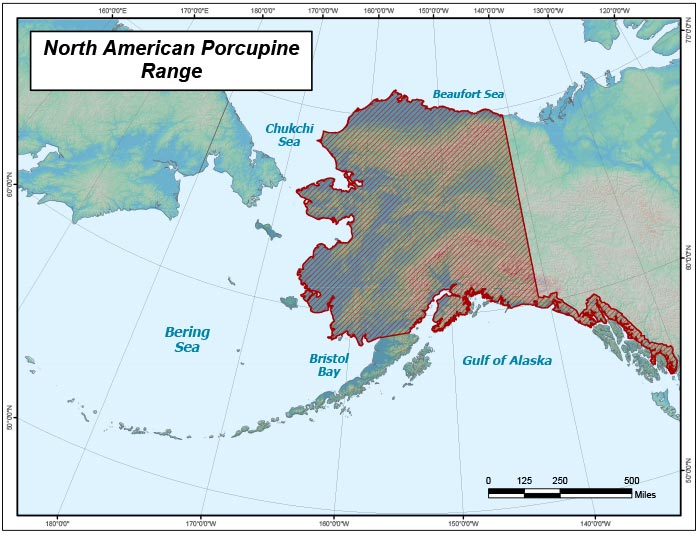 Range map of North American Porcupine in Alaska