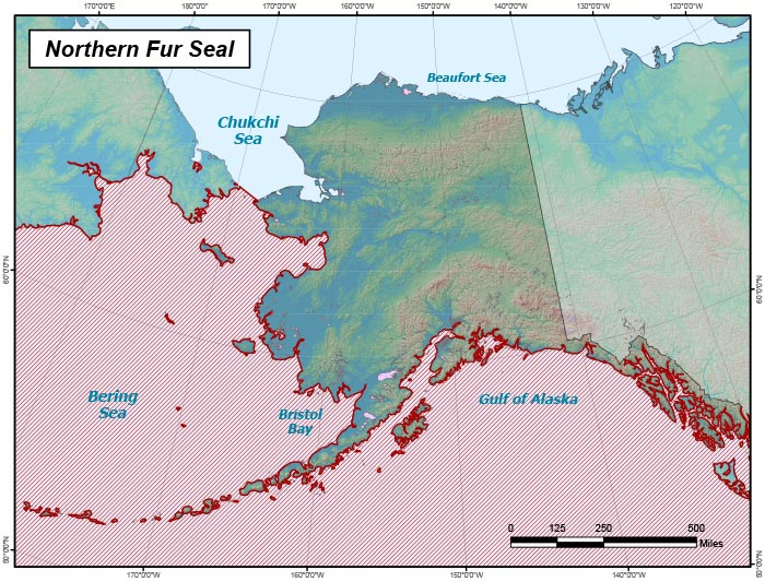 Range map of Northern Fur Seal in Alaska