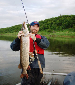 Photo of a Northern Pike