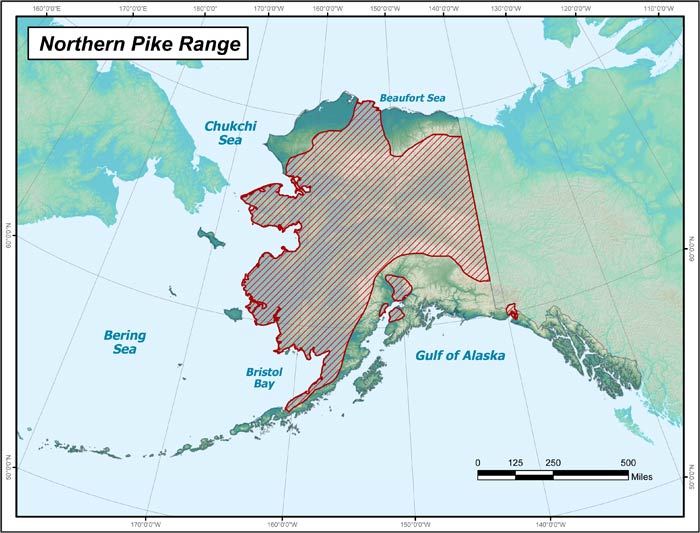 [Linked Image from adfg.alaska.gov]