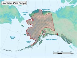 Northern Pike range map