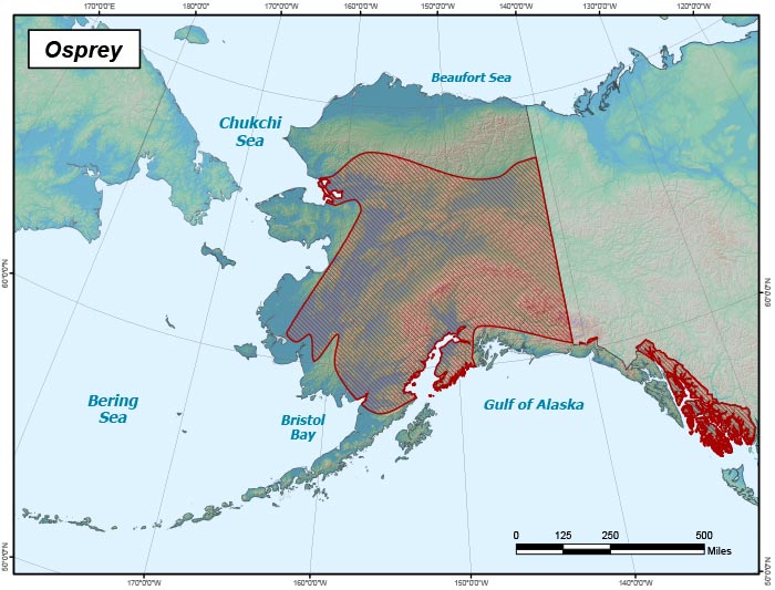 Range map of Osprey in Alaska