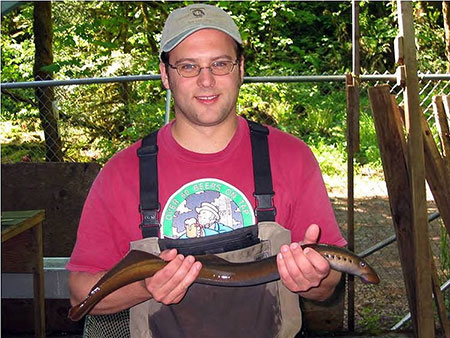 Photo of a Pacific Lamprey