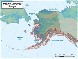 Pacific Lamprey range map