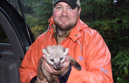 Photo of a Pacific Marten