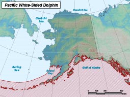 Pacific White-sided Dolphin range map