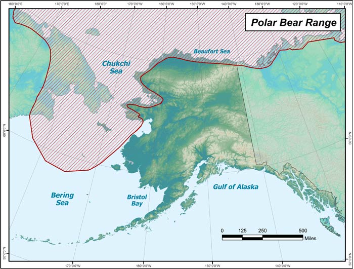 Range map of Polar Bear in Alaska