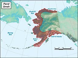 Pond Smelt range map