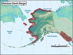 Rainbow Smelt Species Profile, Alaska Department of Fish and Game