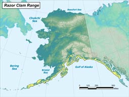 Razor Clam range map