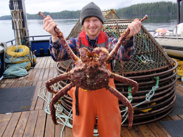 Photo of a Red King Crab