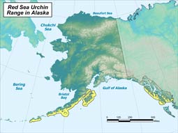 Red Sea Urchin range map
