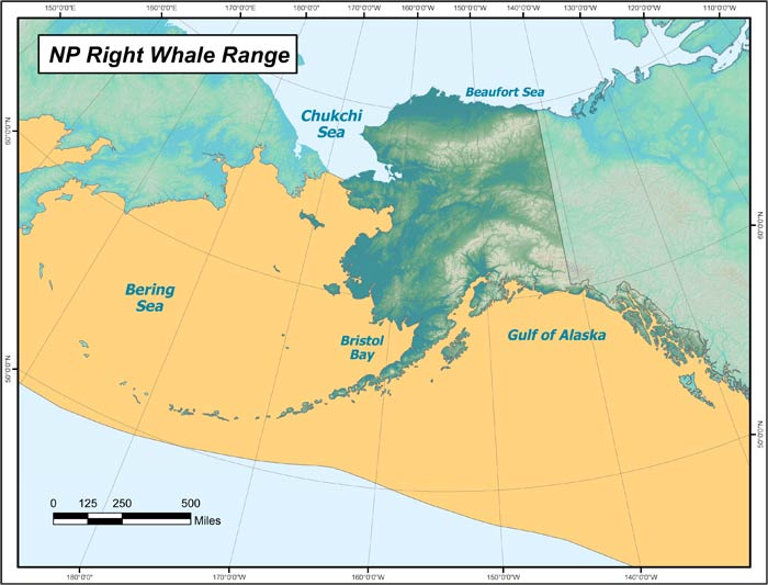 Range map of North Pacific Right Whale in Alaska