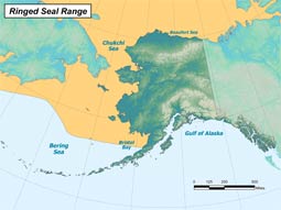 Ringed Seal range map