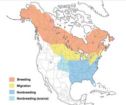 Rusty Blackbird range map