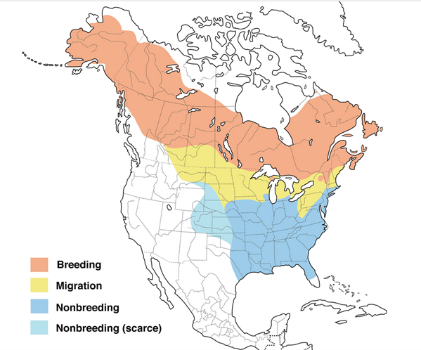 Range map of Rusty Blackbird in Alaska