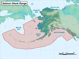 Salmon Shark range map