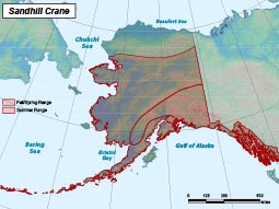 Sandhill Crane range map