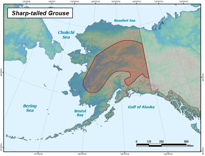 Range map of Sharp-tailed Grouse in Alaska
