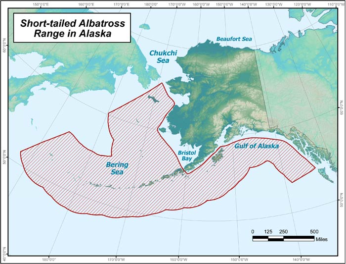 Range map of Short-tailed Albatross in Alaska