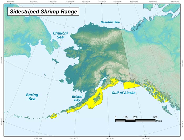 Range map of Sidestriped Shrimp in Alaska