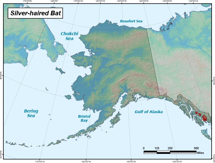 Range map of Silver-haired Bat in Alaska
